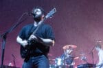 Foals