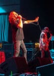 Candlebox 8