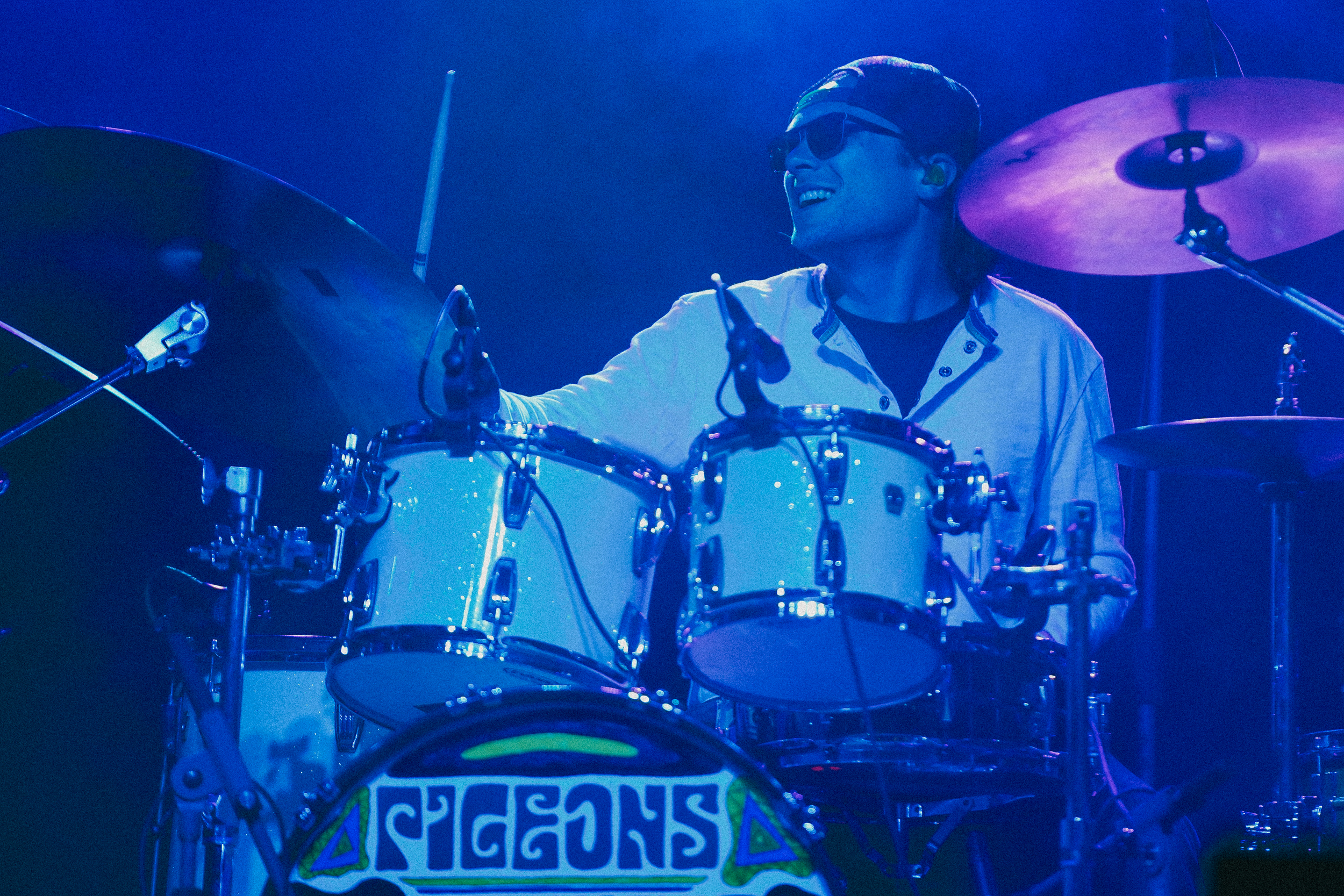 Pigeons Playing Ping Pong