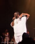 Concert_Parklife_Killer_Mike_High_Holy-18