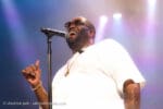 Concert_Parklife_Killer_Mike_High_Holy-30