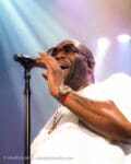 Concert_Parklife_Killer_Mike_High_Holy-31