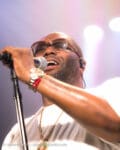 Concert_Parklife_Killer_Mike_High_Holy-34