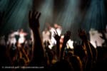 Concert_Parklife_Killer_Mike_High_Holy-52