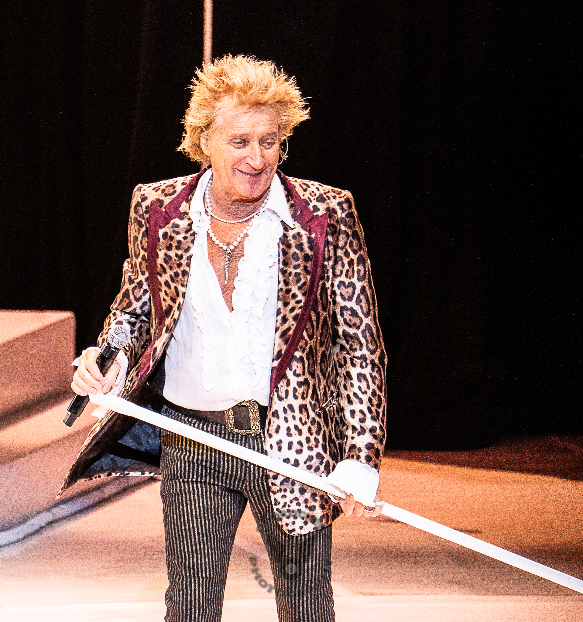 Rod Stewart