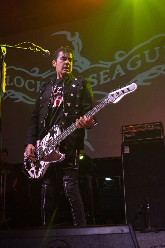 A Flock of Seagulls