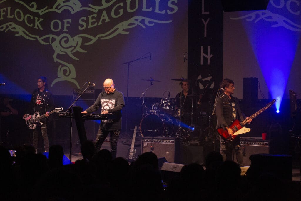 A Flock of Seagulls