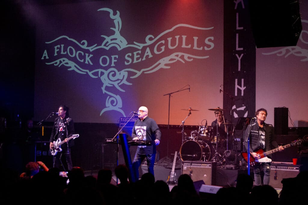 A Flock of Seagulls