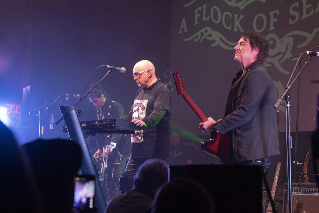 A Flock of Seagulls
