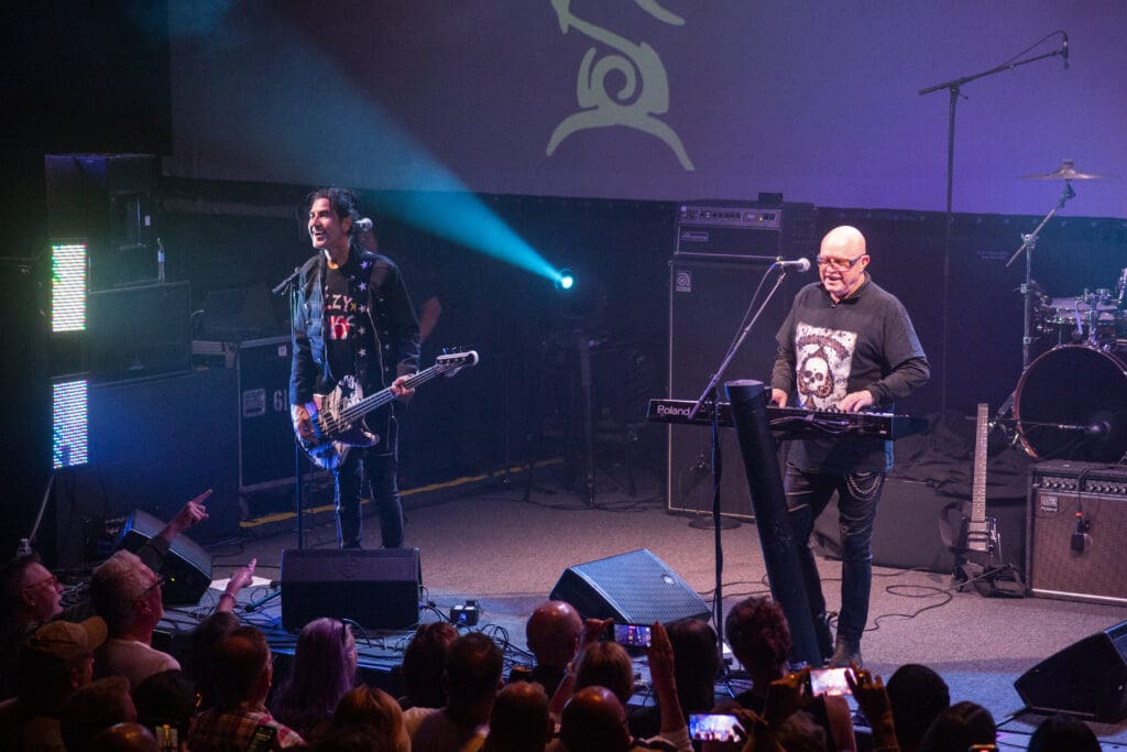 A Flock of Seagulls
