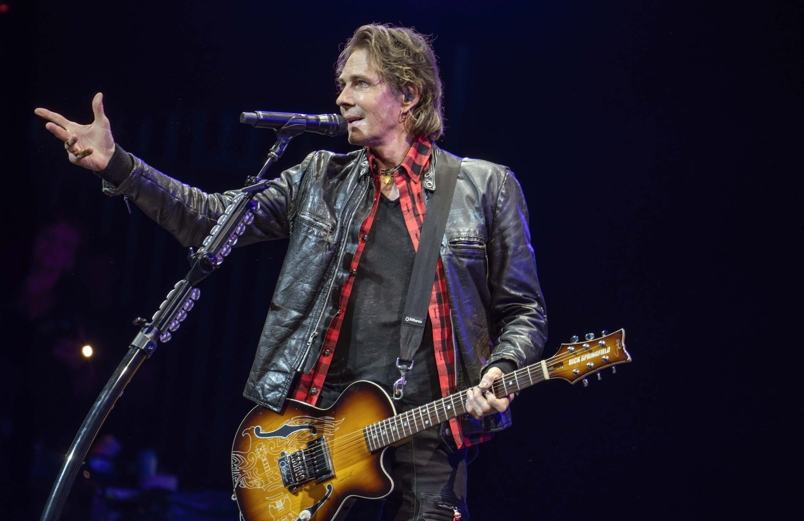 Rick Springfield