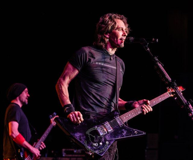 RickSpringfield Rick Springfield