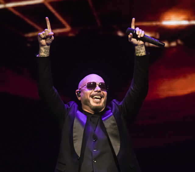 Pitbull Pitbull