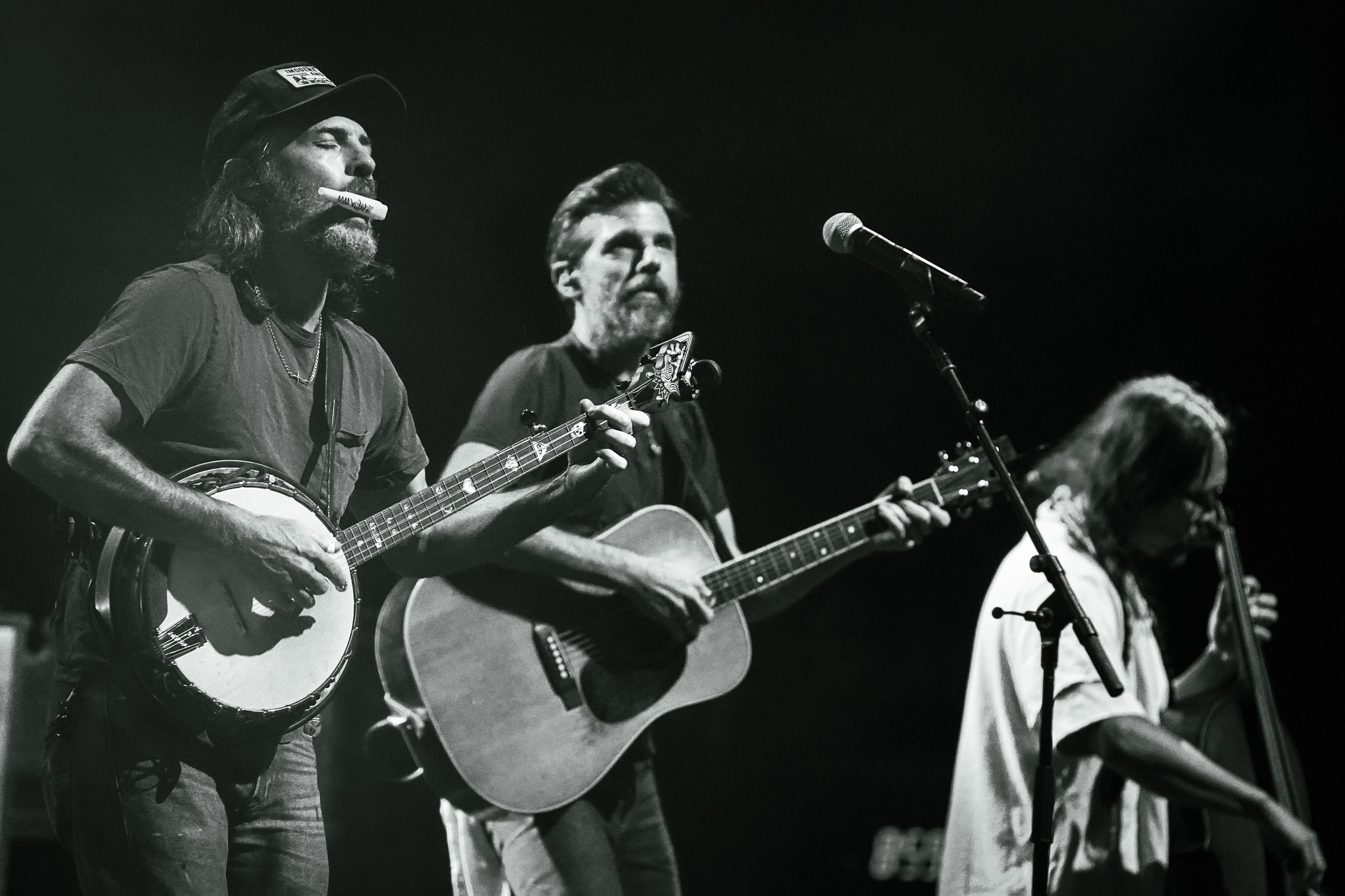 The Avett Brothers