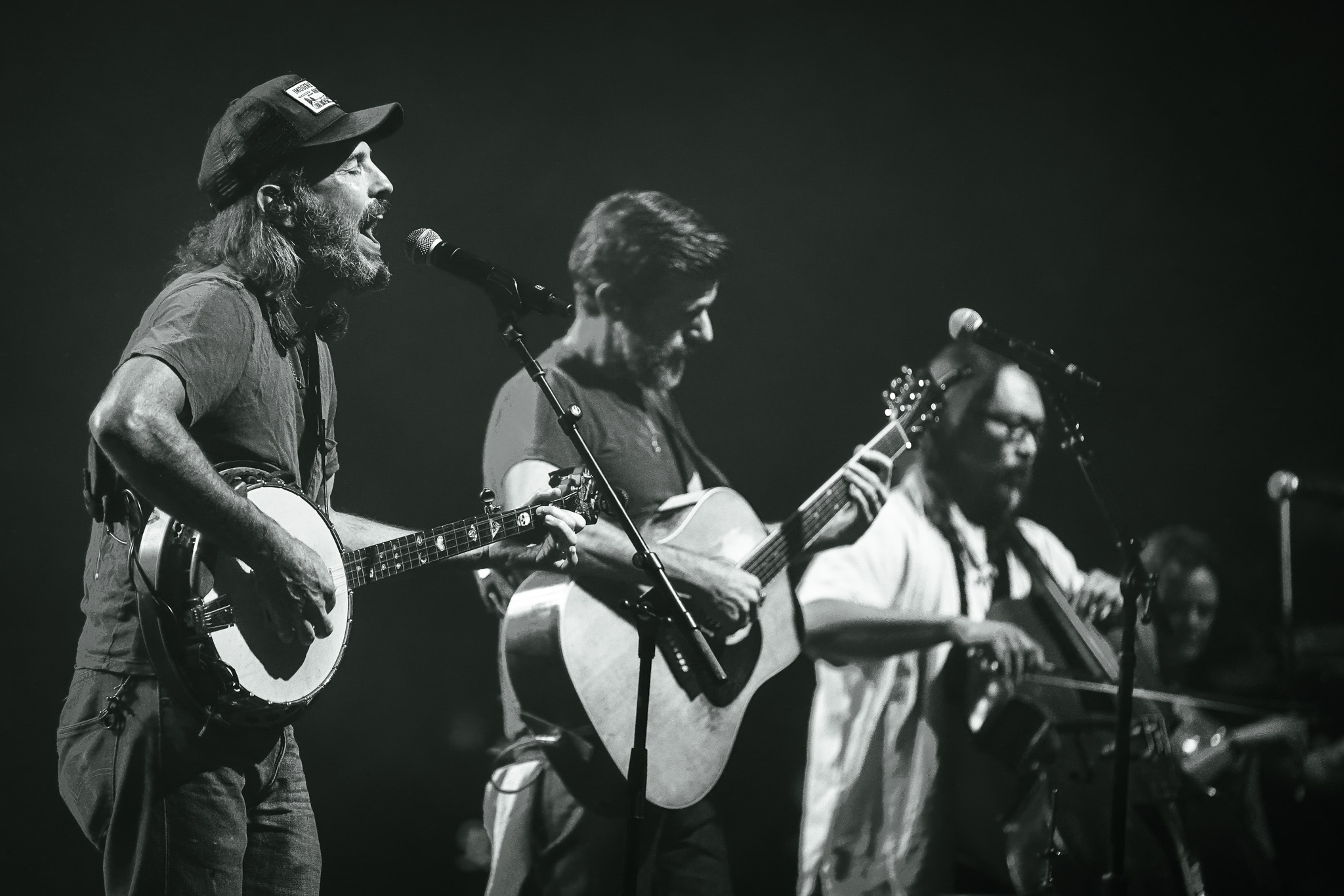 The Avett Brothers