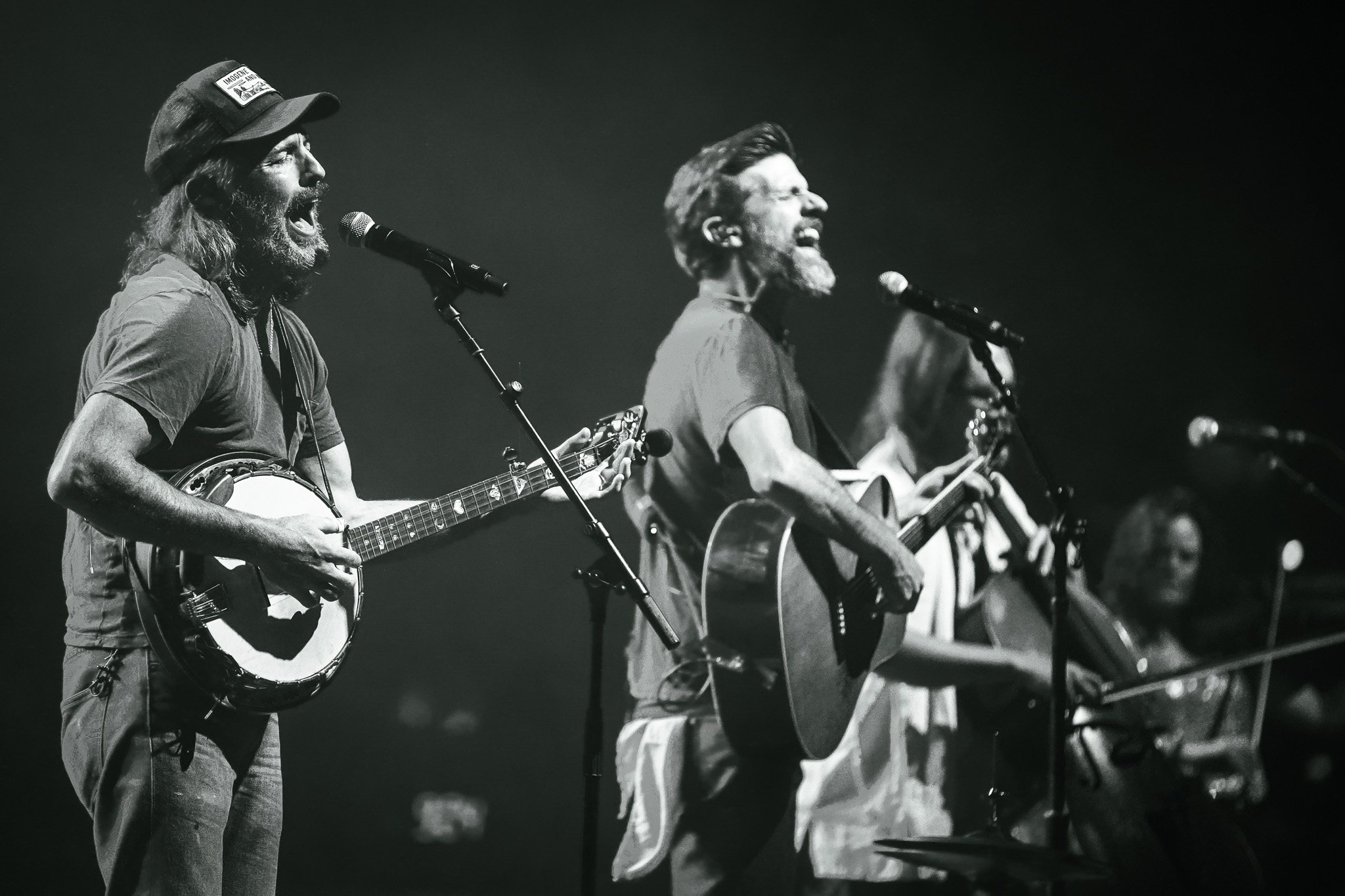 The Avett Brothers