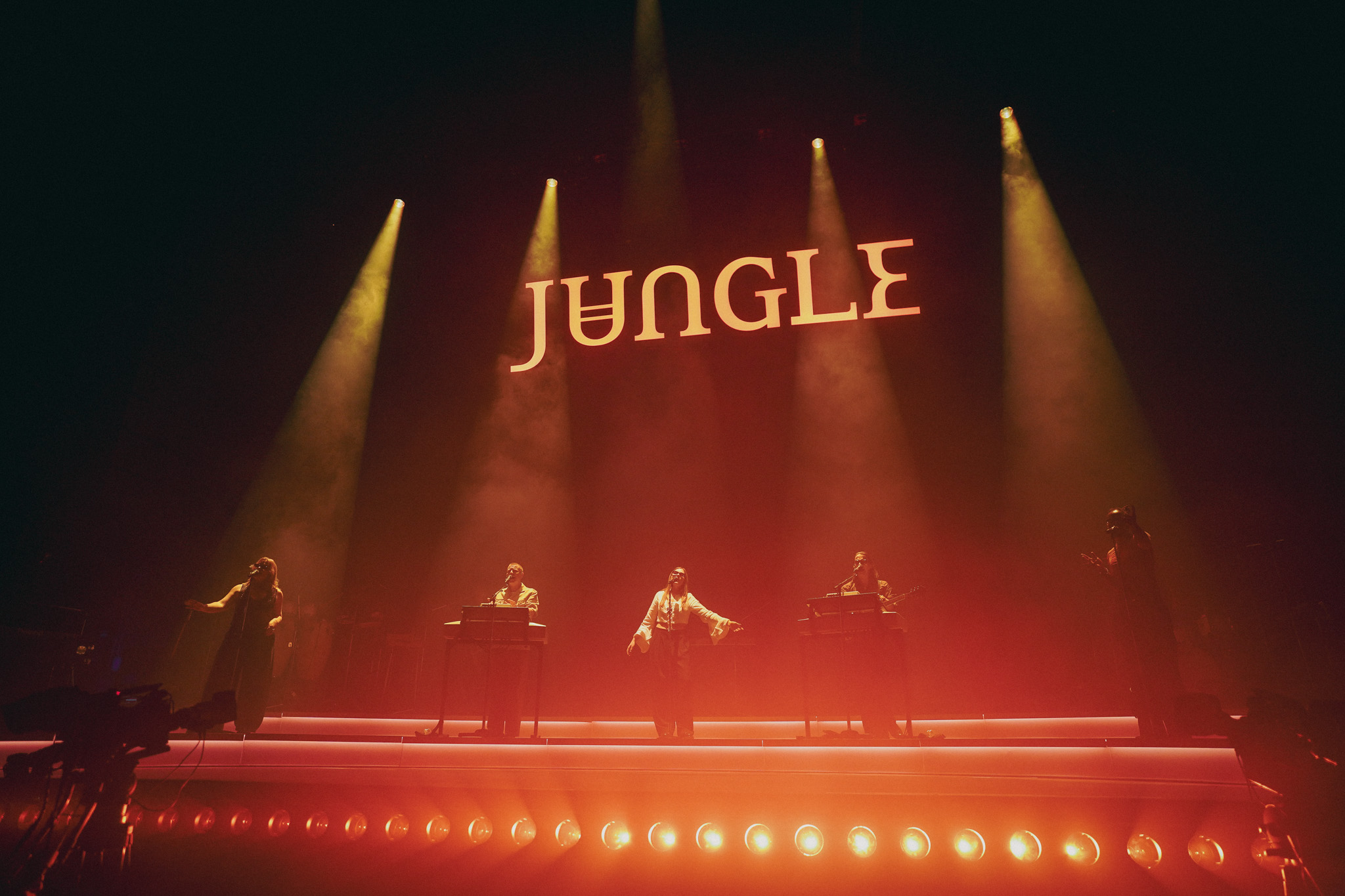 Jungle
