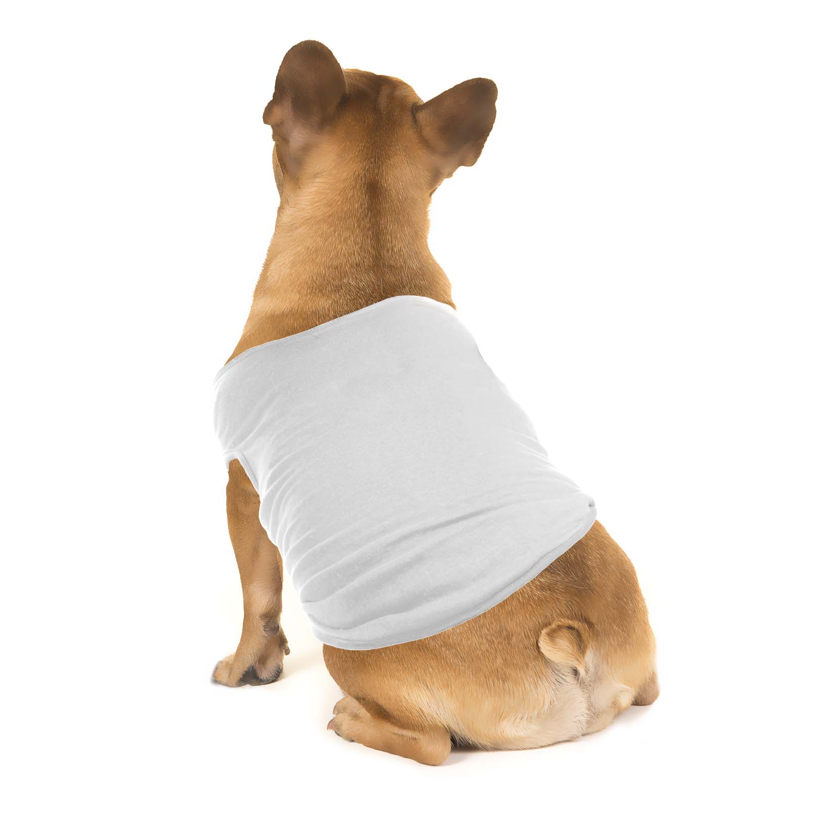 pet-shirt-insit