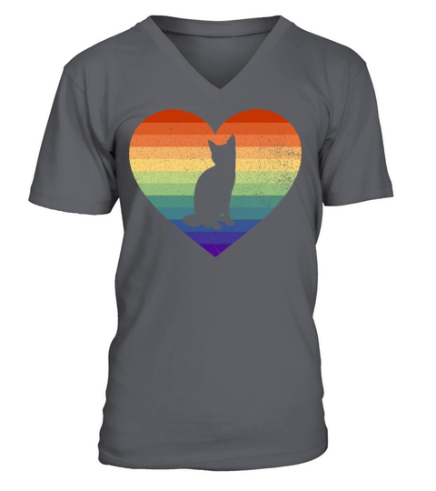 Vintage Distressed Gay Pride Pussy Lover V-Neck T-shirt