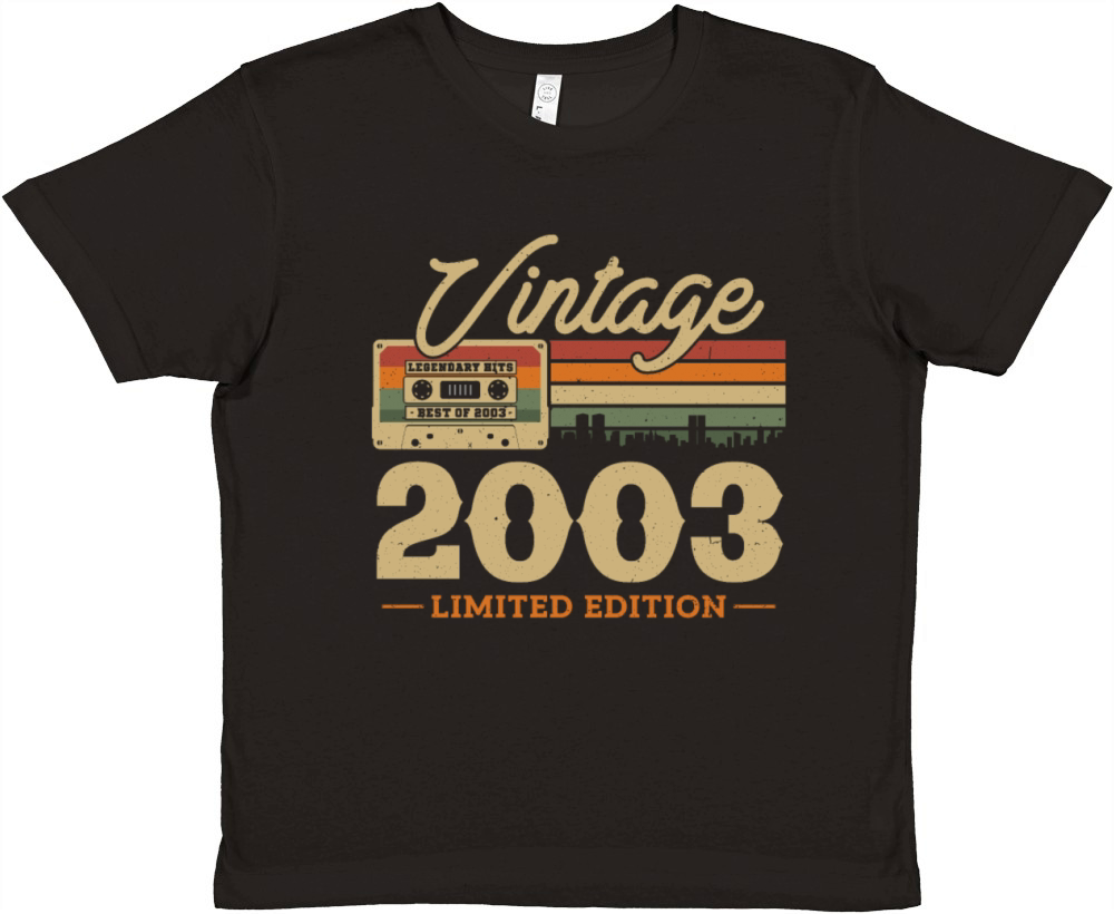 Vintage Retro Birthday Gift 2003 Premium Kids Crewneck T-shirt