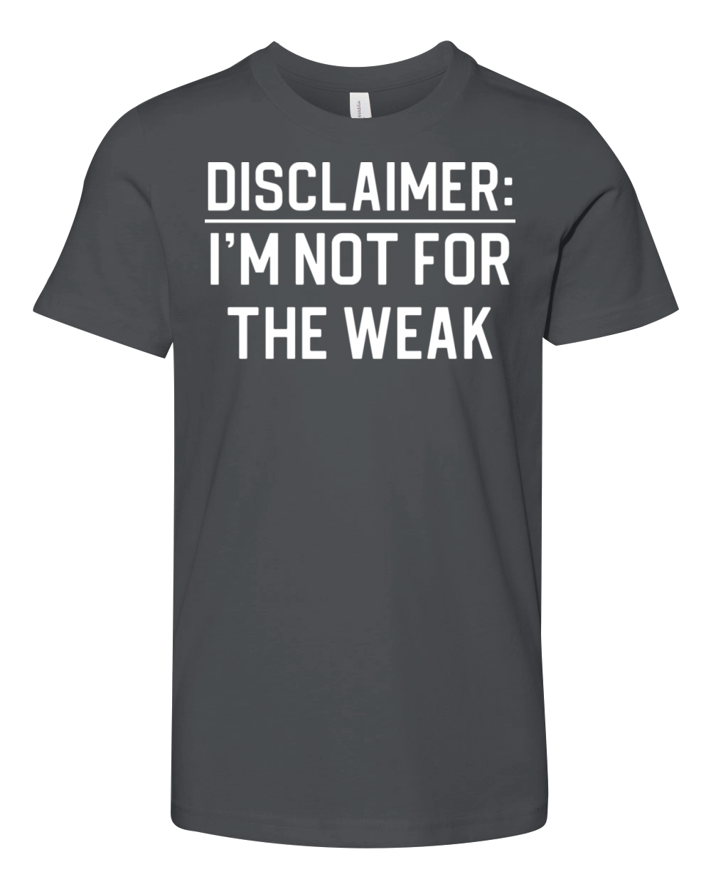 Funny Sarcasm Quote Disclaimer I m Not For The Youth Unisex Jersey Tee