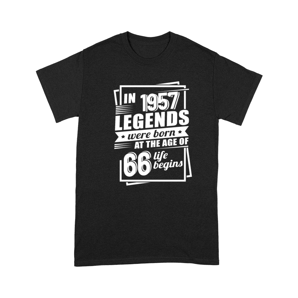 66th birthday vintage 1957 sayings Premium T-shirt