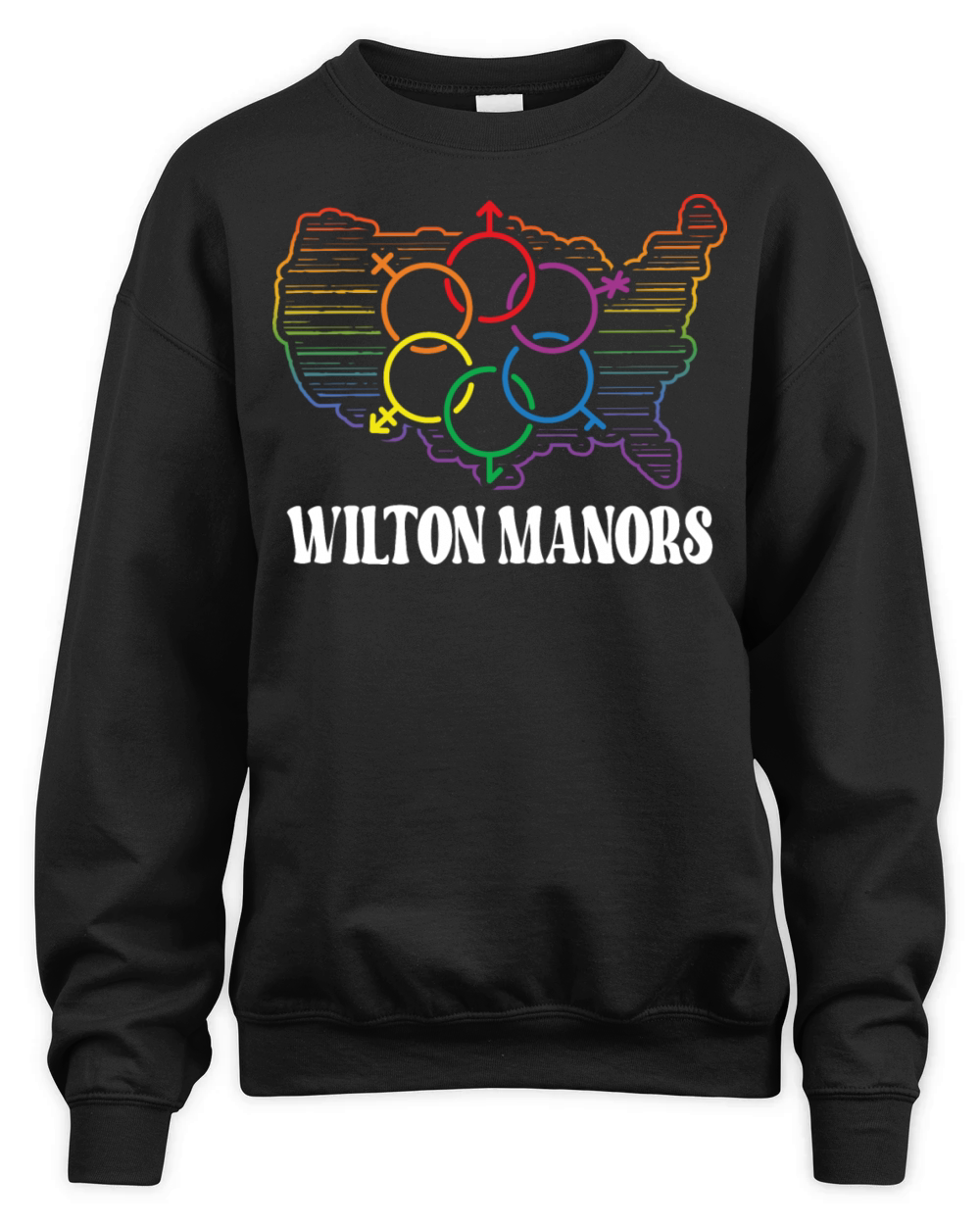Wilton Manors Pride Month Pride Flag LGBT Communit Unisex Premium Crewneck Sweatshirt