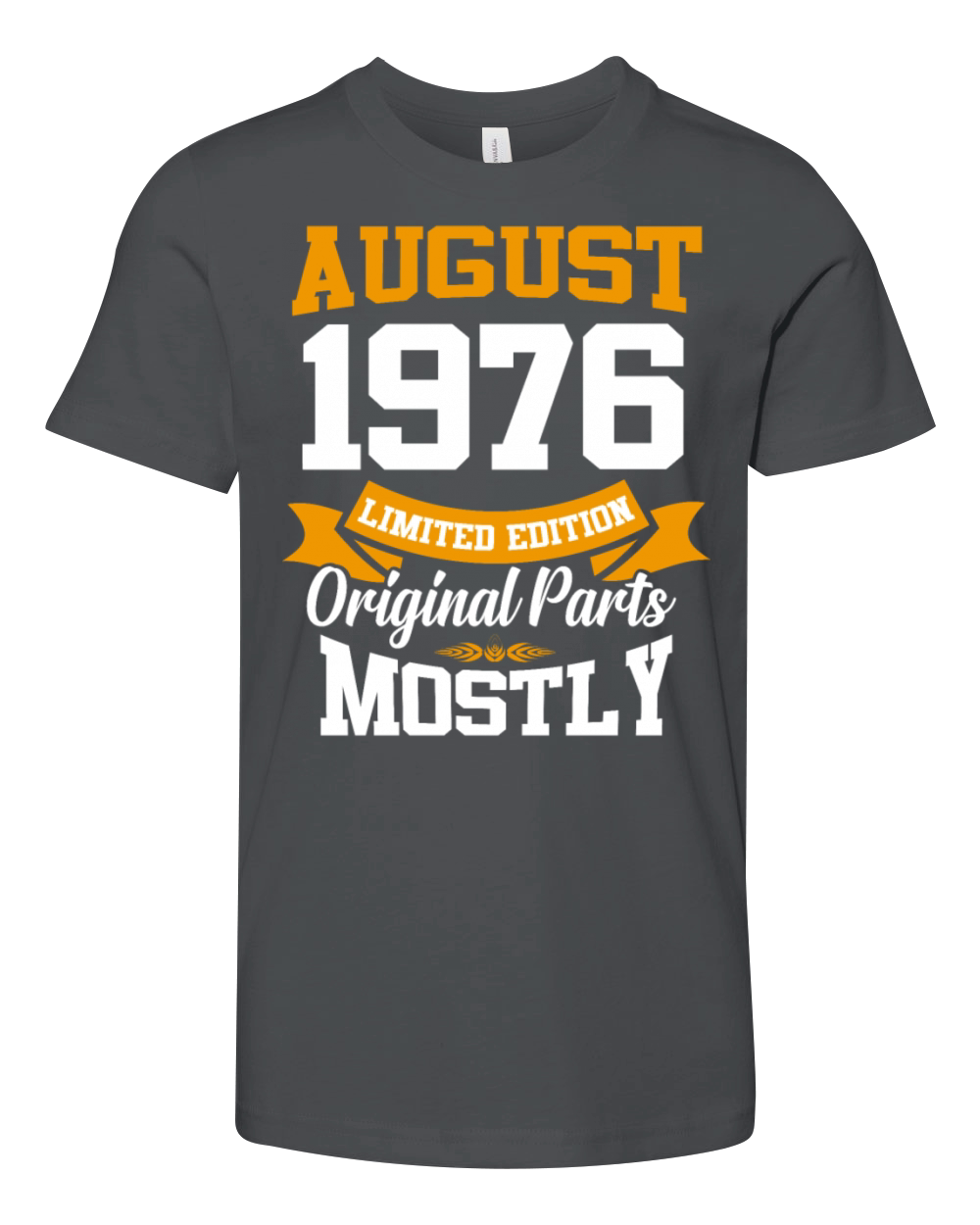 August 1976 Vintage Birthday Present Youth Unisex Jersey Tee