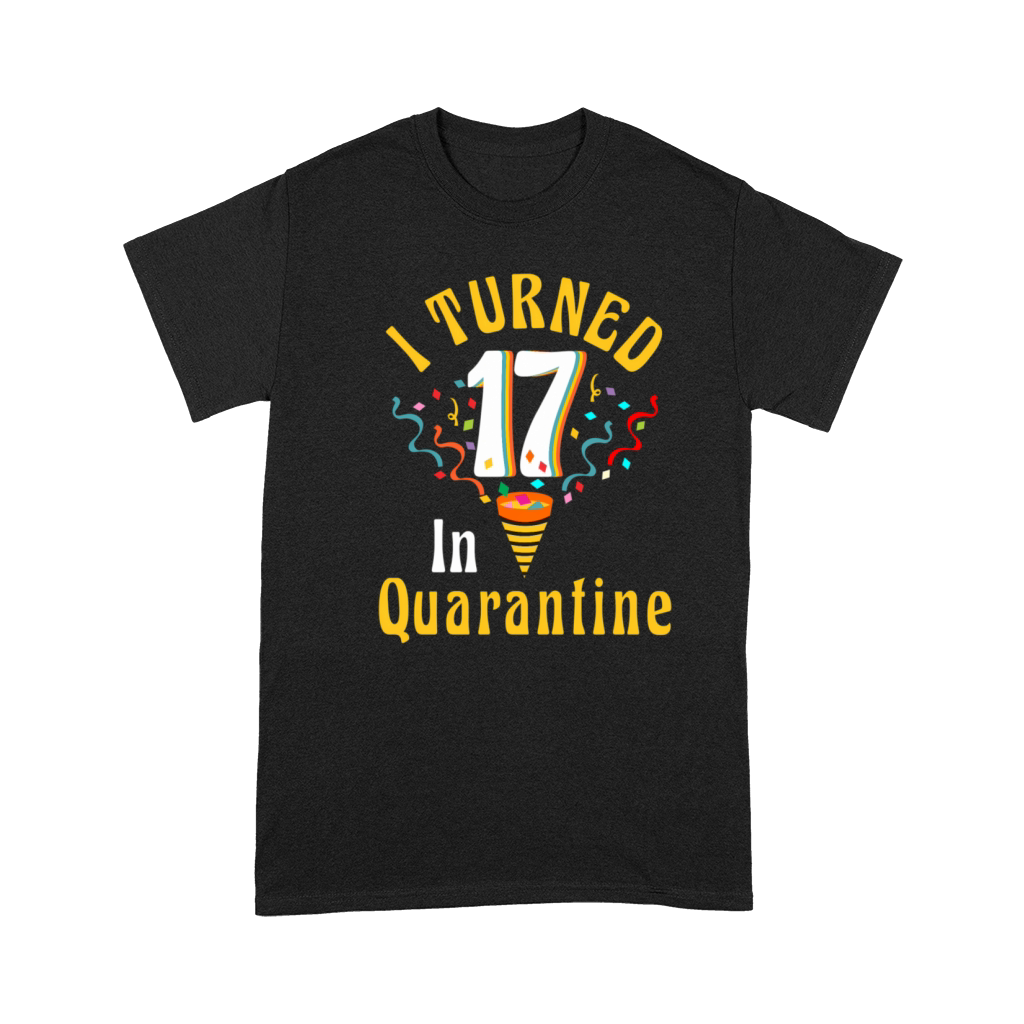 I Turned 17 In 17th Ns Premium T-shirt