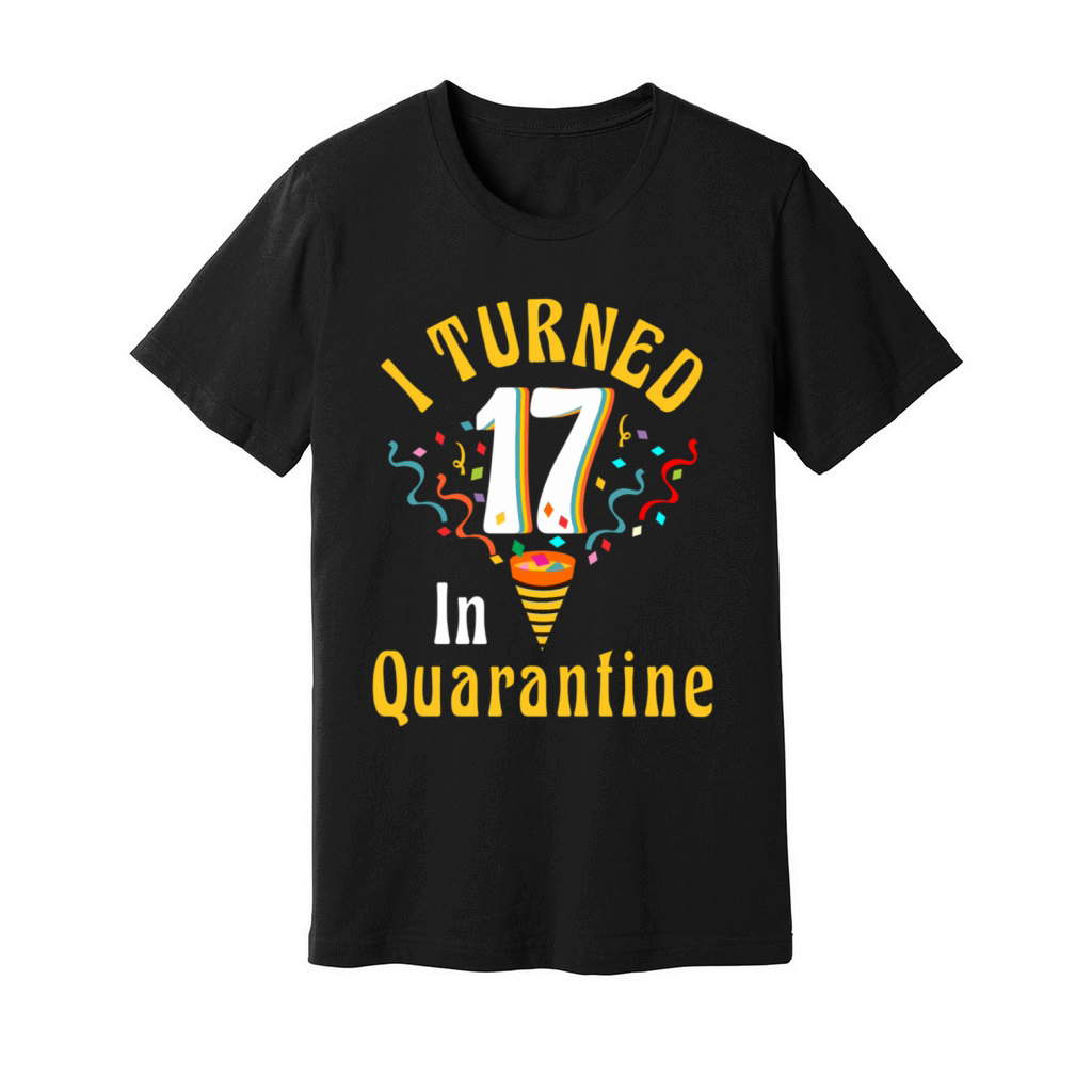 I Turned 17 In 17th Ns Unisex Jersey Tee