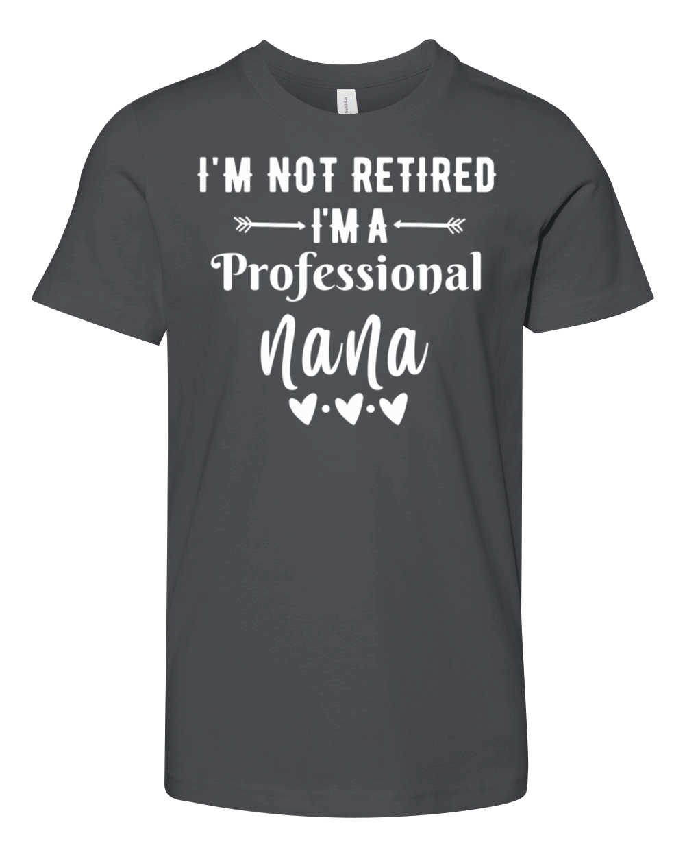Im Not Retired Im a Professional Nana quote Youth Unisex Jersey Tee