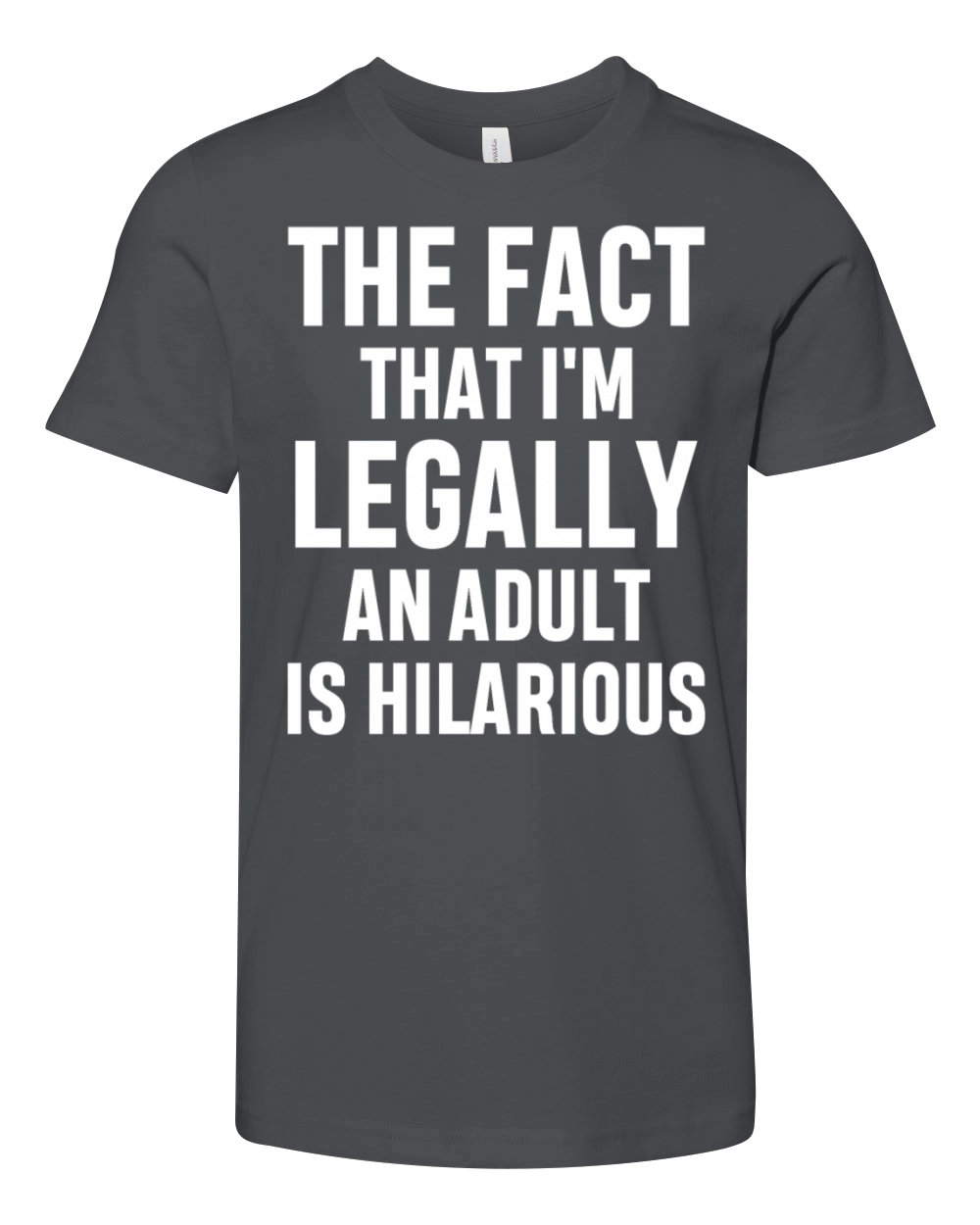 Im Legally An Adult Is Hilarious 18th Birthday Youth Unisex Jersey Tee