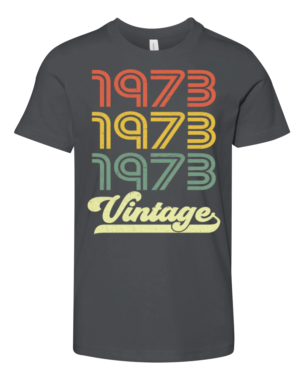 Vintage 1973 - 50th Birthday Classic Born 1973 Youth Unisex Jersey Tee