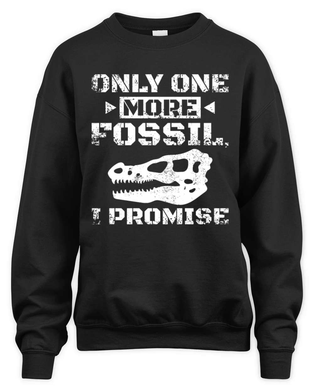 One more fossil Dinosaur Paleontologist Unisex Premium Crewneck Sweatshirt