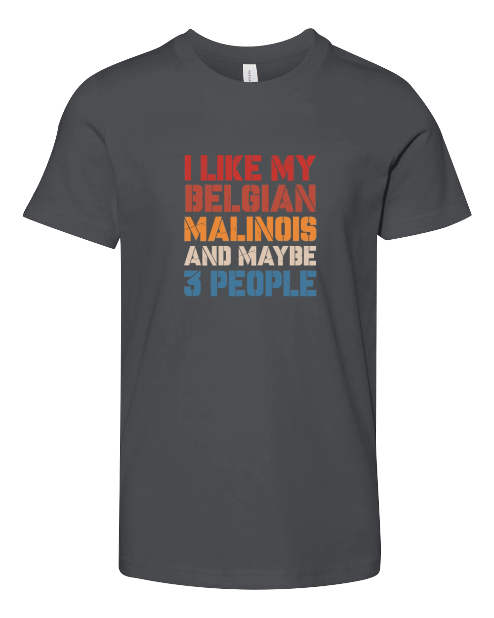 I Like Belgian Malinois And Maybe 3 People Vintage Youth Unisex Jersey Tee