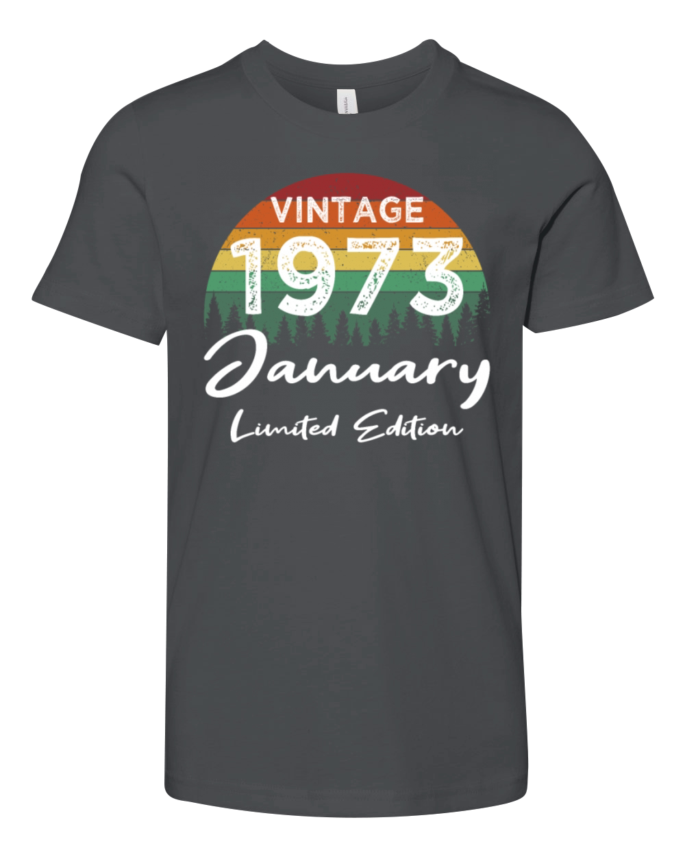 50th birthday january 1973 vintage 1973 Youth Unisex Jersey Tee