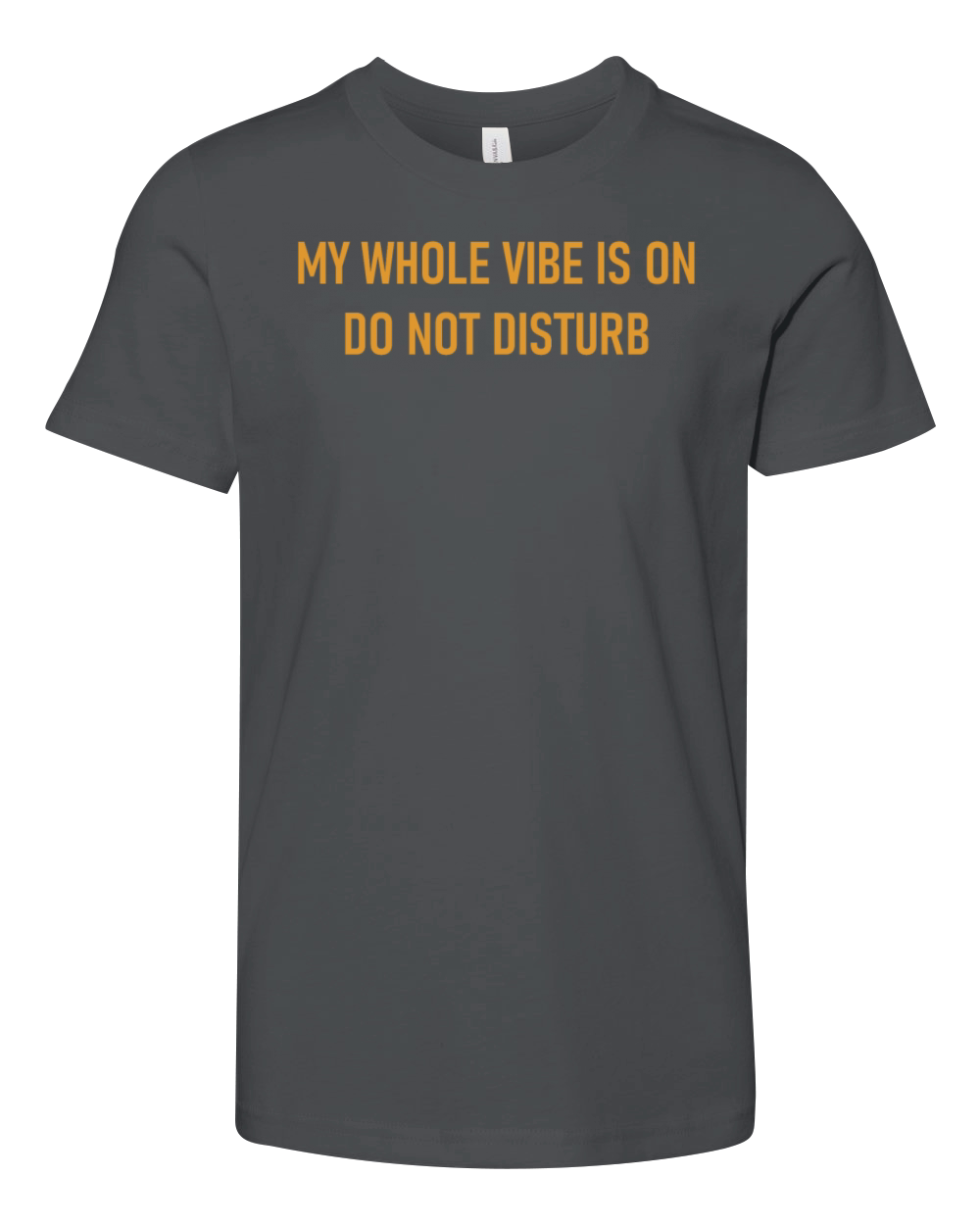 My Whole Vibe Is On Do Not Disturb Youth Unisex Jersey Tee