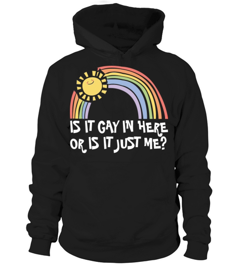 LGBTQ Trans Gay Pride Is It Gay Here Proud Ally Hoodie Unisex