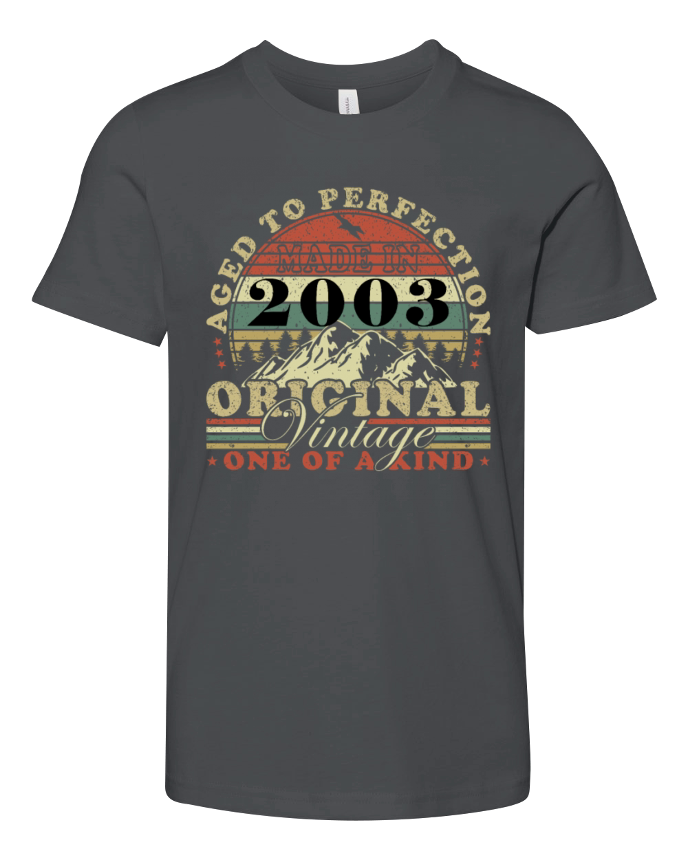 2003 Vintage Retro Vintage Birthday Gift Youth Unisex Jersey Tee