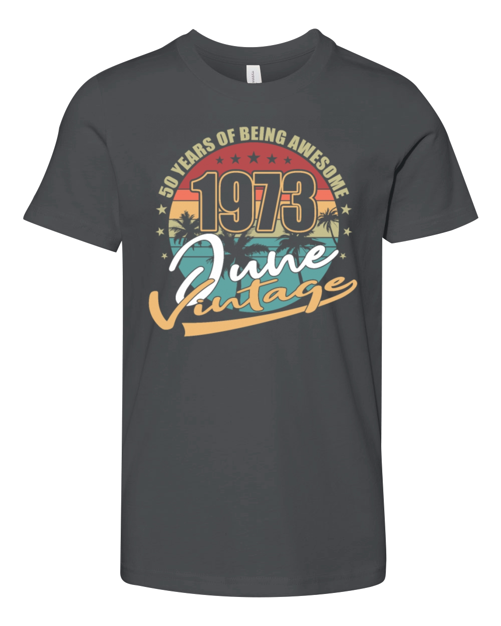 50th birthday june 1973 vintage 1973 Youth Unisex Jersey Tee