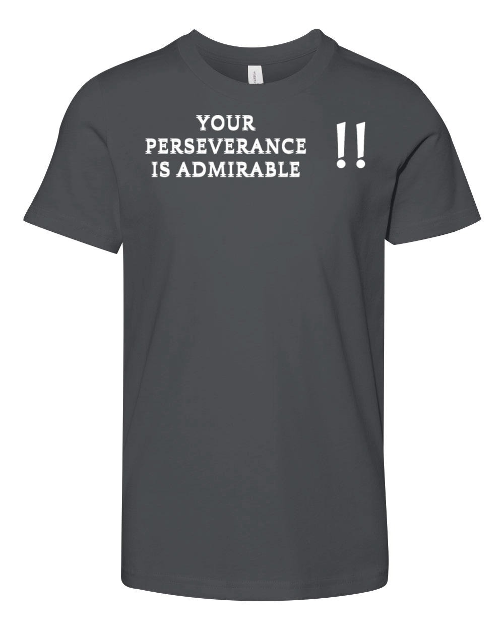 Your perseverance is admirable Youth Unisex Jersey Tee
