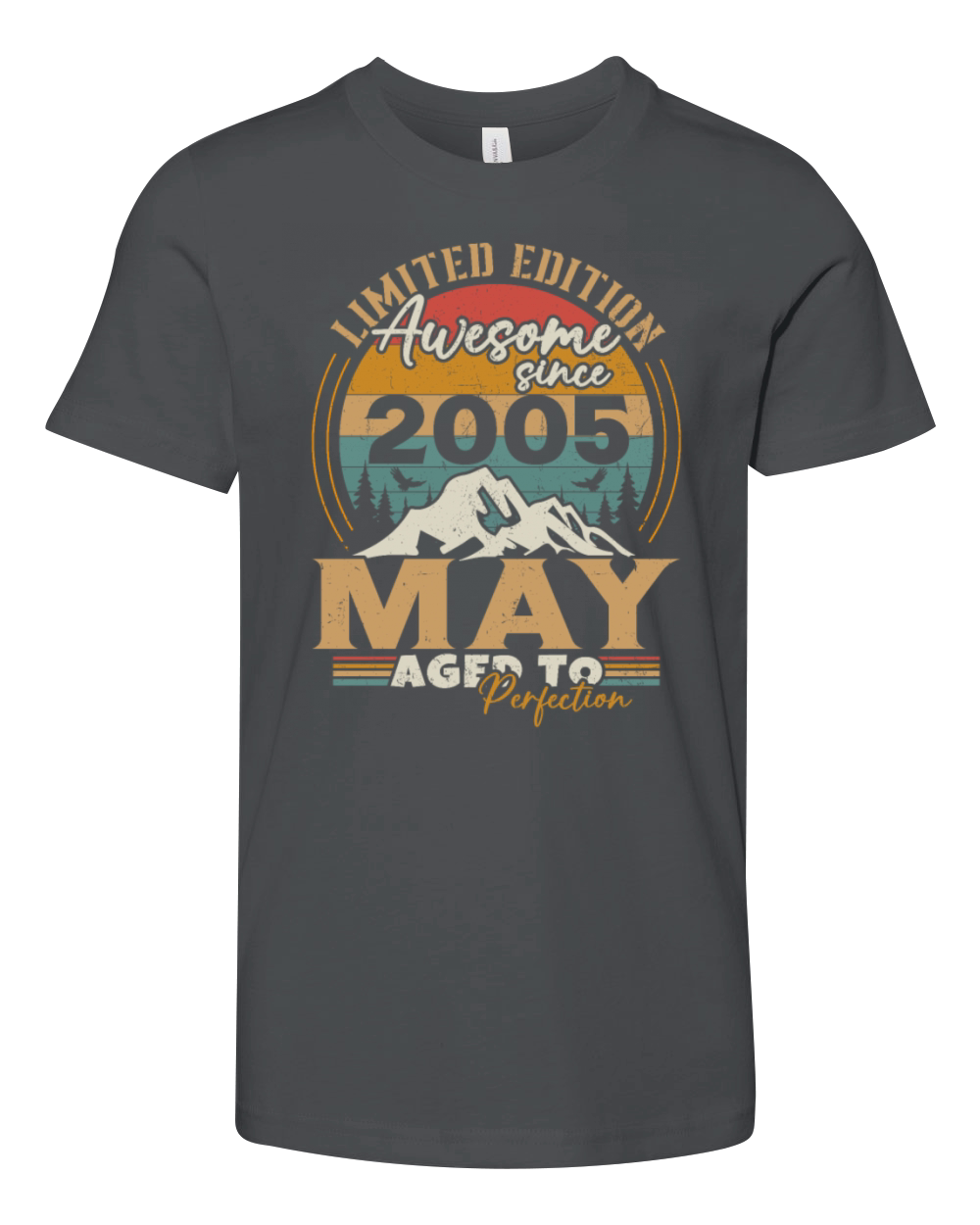 Vintage Born In May 2005 Birthday Gift Youth Unisex Jersey Tee