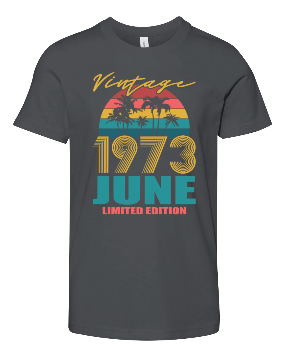50th birthday june 1973 vintage 1973 Youth Unisex Jersey Tee
