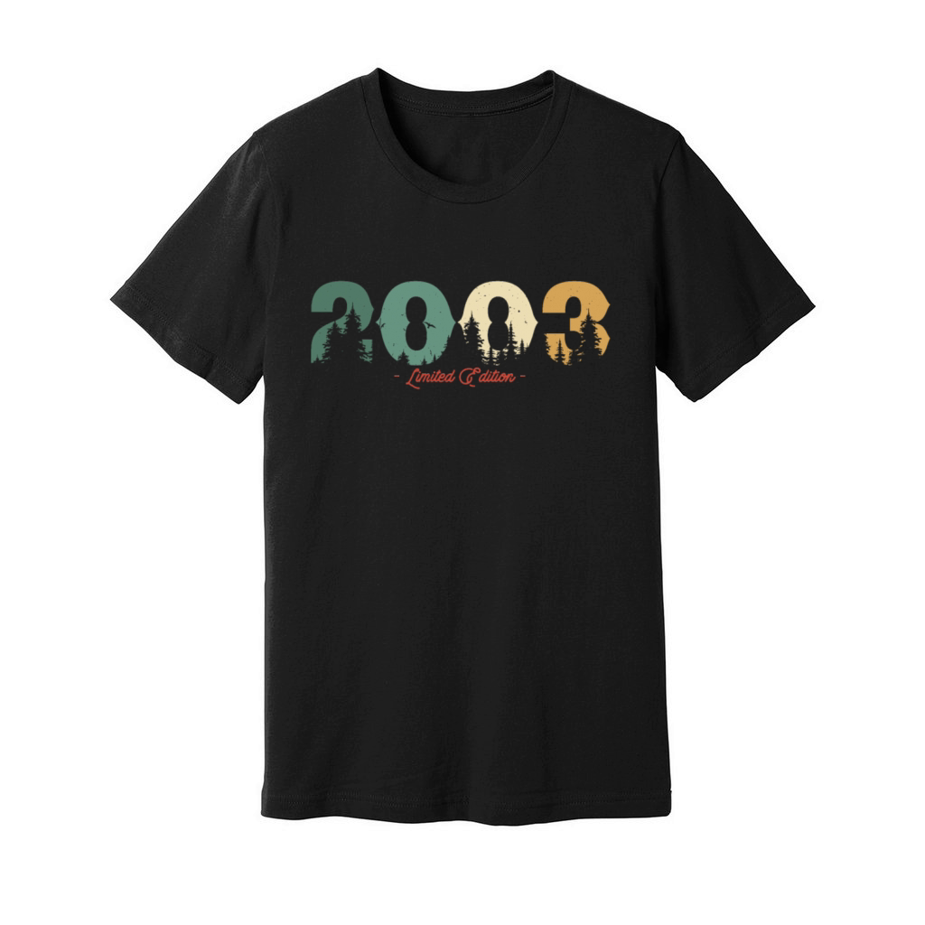 Vintage 2003 Birthday Gift Unisex Jersey Tee