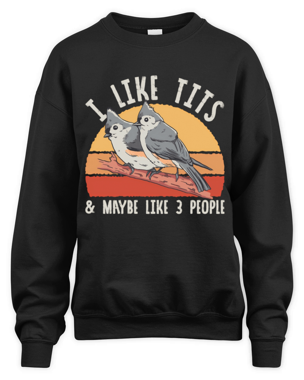 Bird Watcher Retro Vintage Tit Unisex Premium Crewneck Sweatshirt