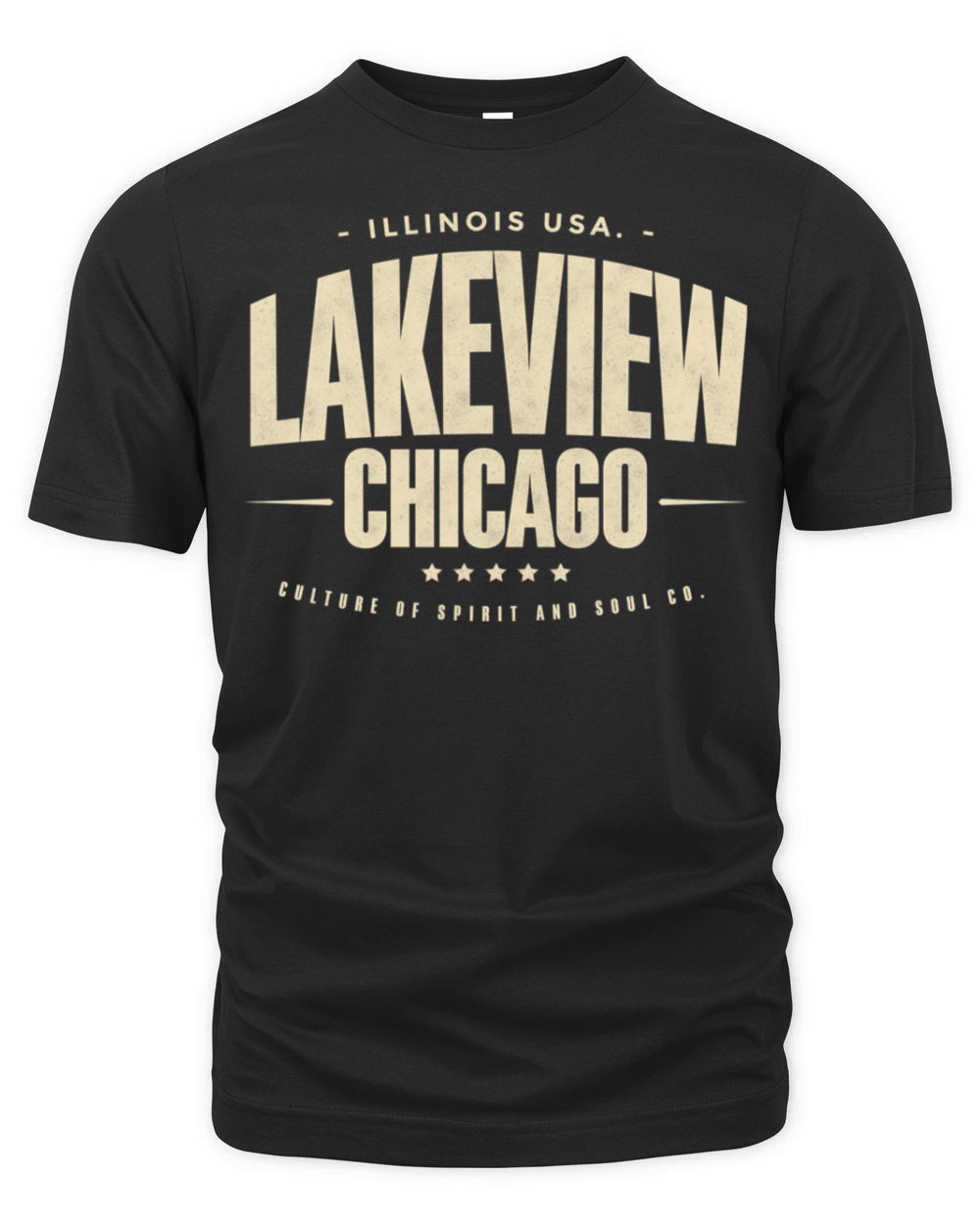 Lakeview Chicago Illinois IL Vintage Sports Organic Unisex T-shirt