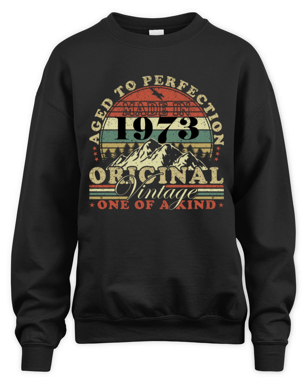 1973 Vintage Retro Vintage Birthday Gift Unisex Premium Crewneck Sweatshirt
