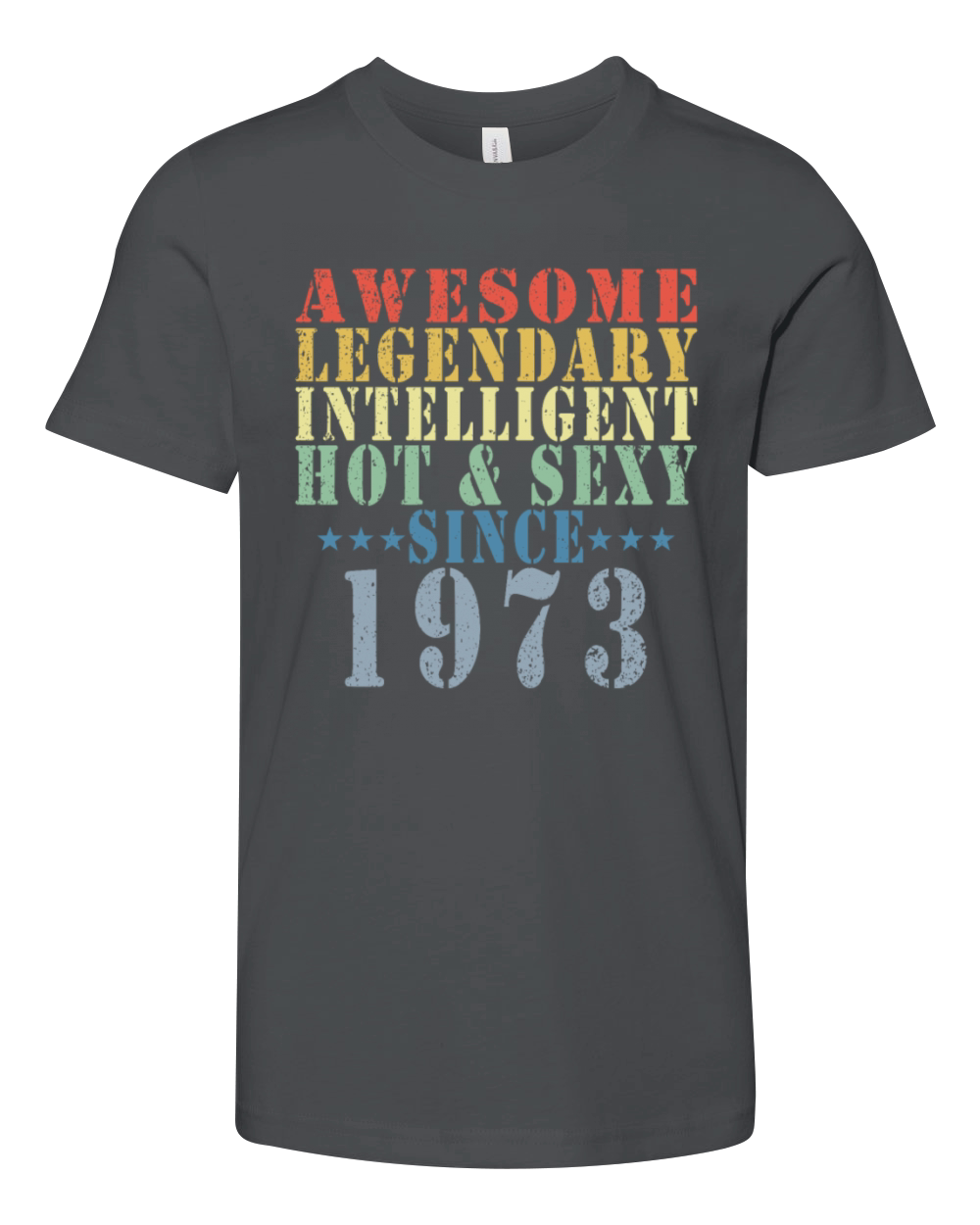 50th Birthday Man June Vintage 1973 Awesome Youth Unisex Jersey Tee