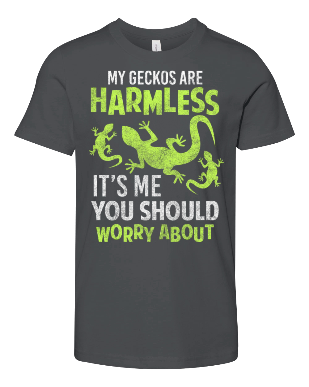 Reptile Lizard Animal Welfare Terraristics Youth Unisex Jersey Tee