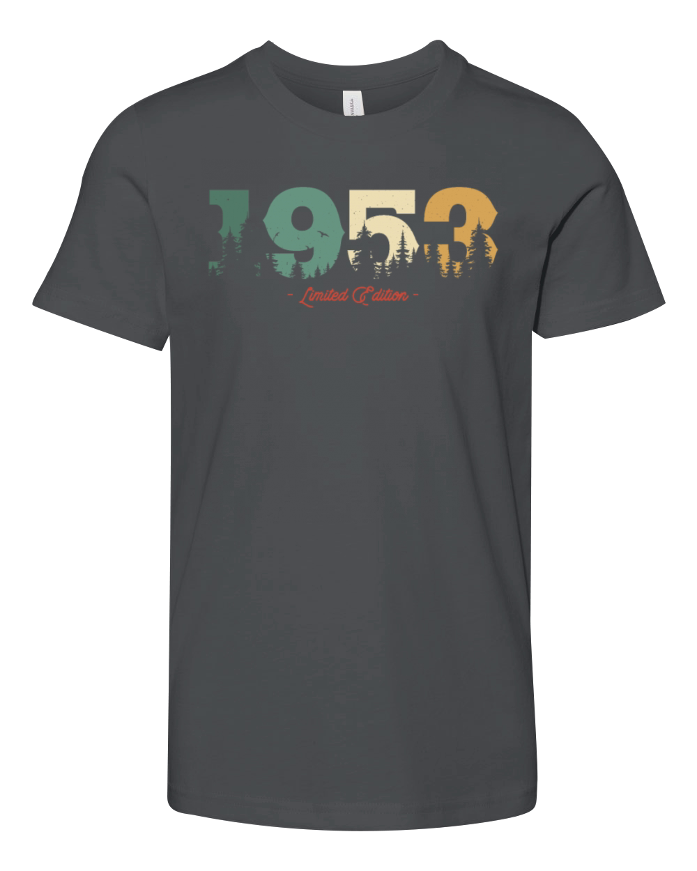 Vintage 1953 Birthday Gift Youth Unisex Jersey Tee
